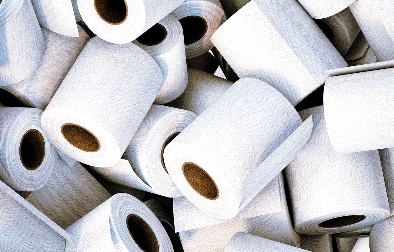 Eco Friendly Toilet Paper Alternatives