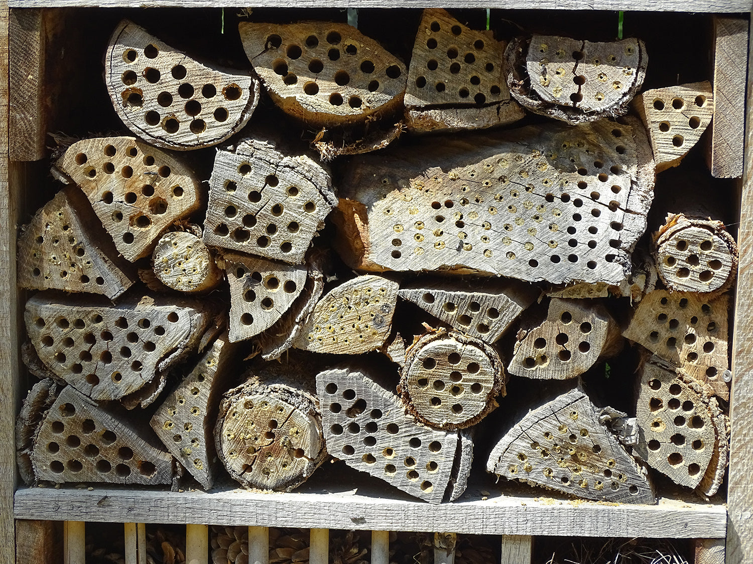 Bug Hotel