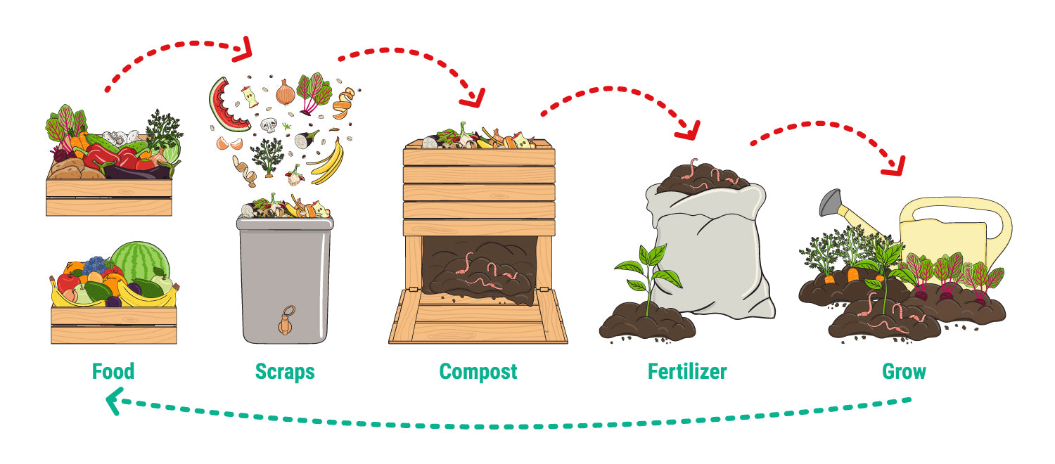Composting Infographic