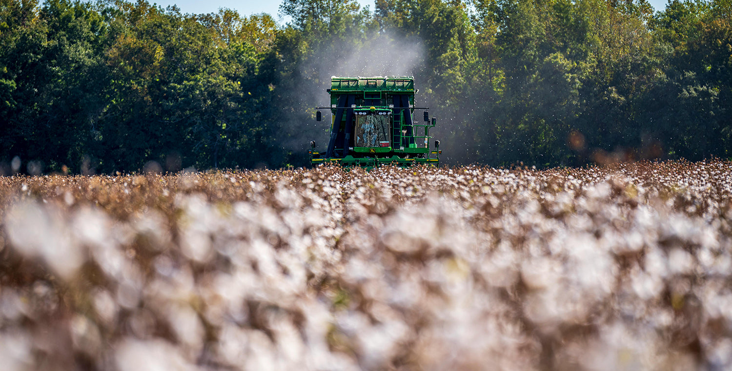 Cotton Farming for the Fashion Industry is a Huge Consumer of Water