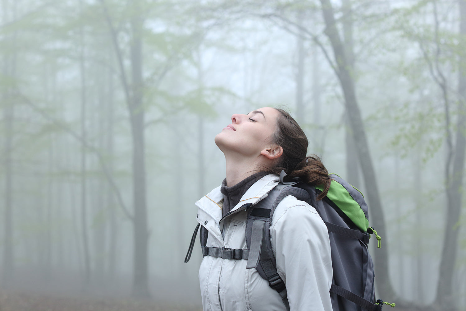 Shinrin Yoku Forest Bathing