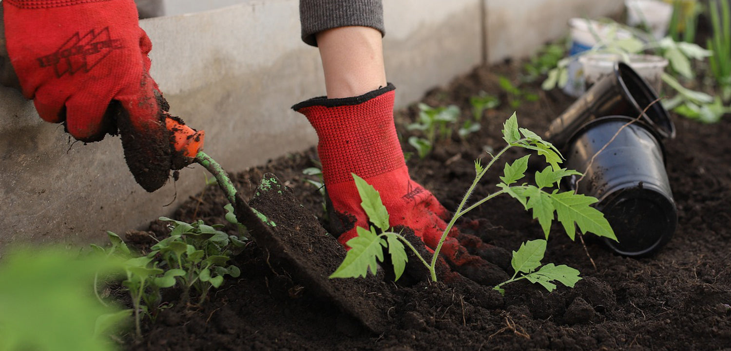 Gardening