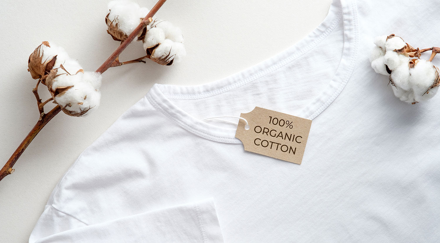 White Organic Cotton T-Shirt White