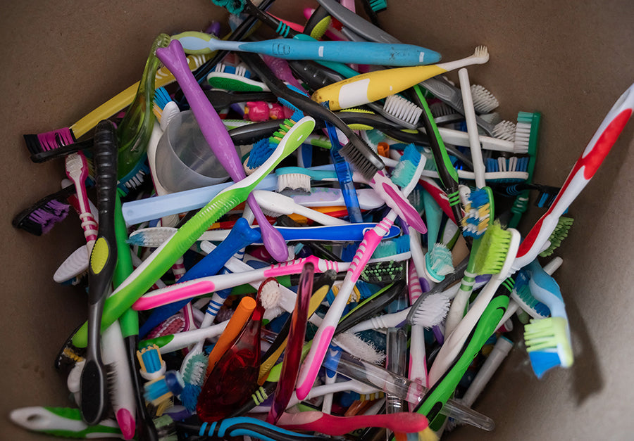 Plastic Toothbrushes Collected for Recycling