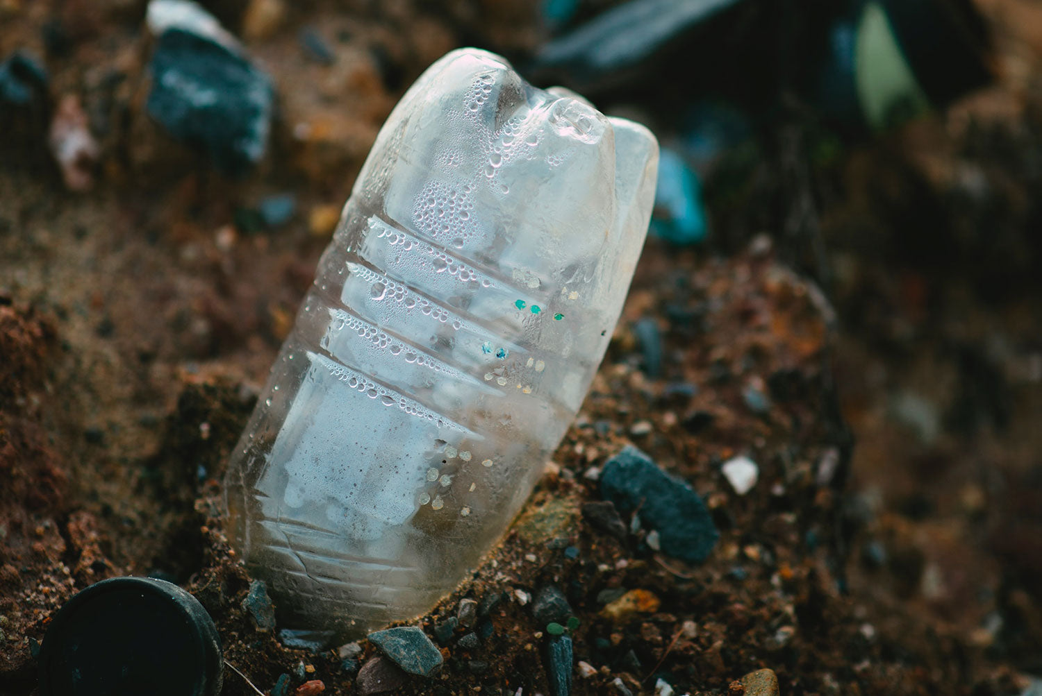 Plastic Pollution - Plastic Bottle Left on the Ground