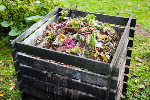 compost heap