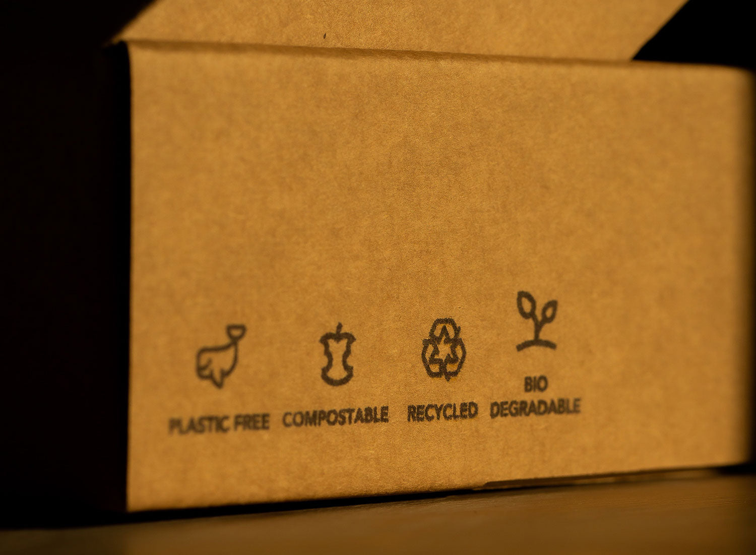 Recycled and Compostable Cardboard