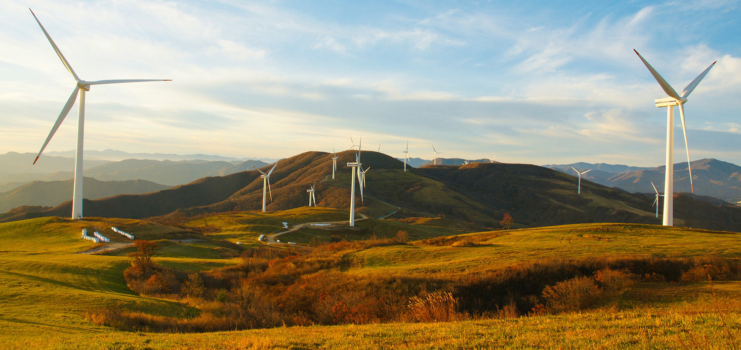 Renewables Roles in Carbon Offsets