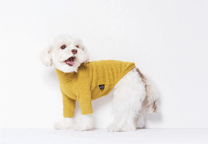 dog turtleneck shirt