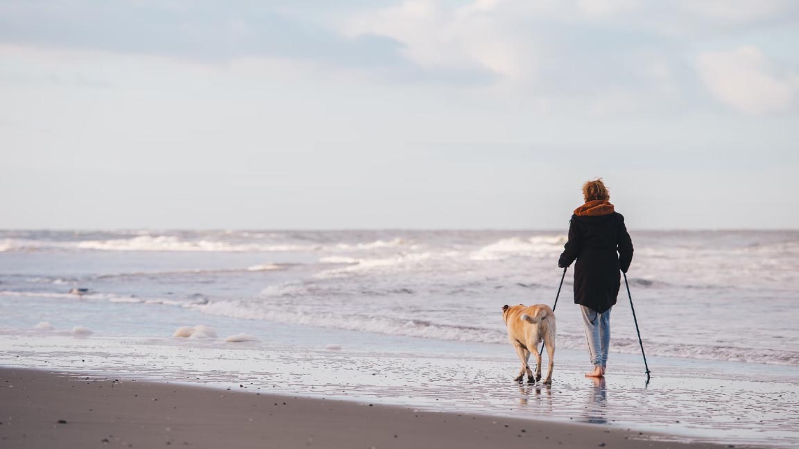 Zomertip: Samen met de hond naar strand - Hondenhoek.com Online Blog