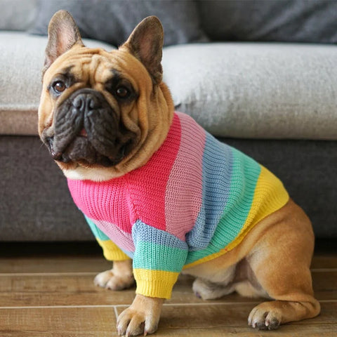 Rainbow Sweater Clothes for Dogs