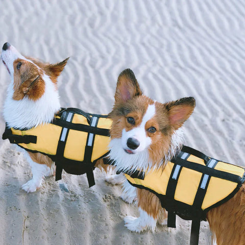 Gilet de sauvetage pour chiens - Sécurité dans l'eau - WOEF Boutique &ndash; Dogcorner.com