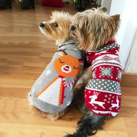 petzz™ knitted Christmas sweater