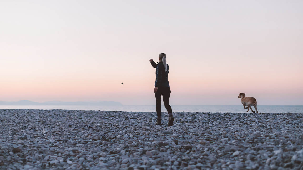 Woof blog news woman dog beach play sunset