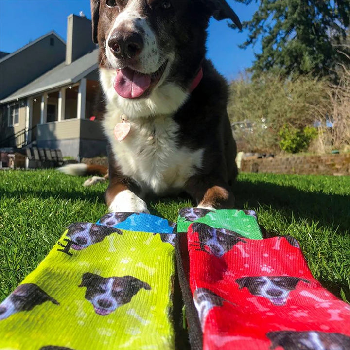 Personalized Socks - Socks with photo of Dog - Online Shopping