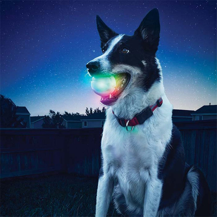 Buy dog ​​LED ball toys online