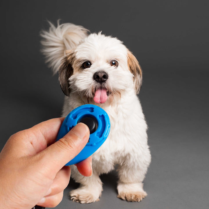 PETZZ Clicker for Dog Training - Puppy Training - Hondenhoek Online