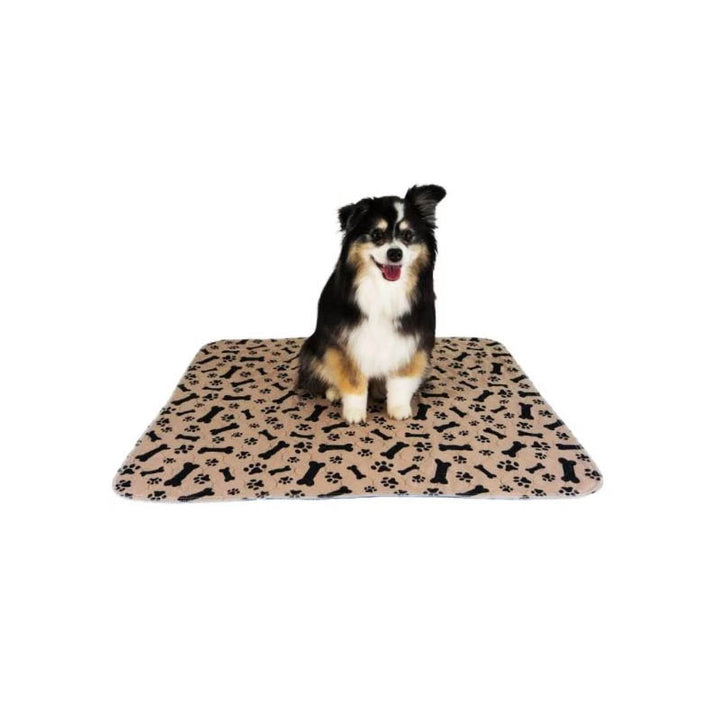 Petzz Potty Training Mat - Prevent Pees in the House - Absorbent