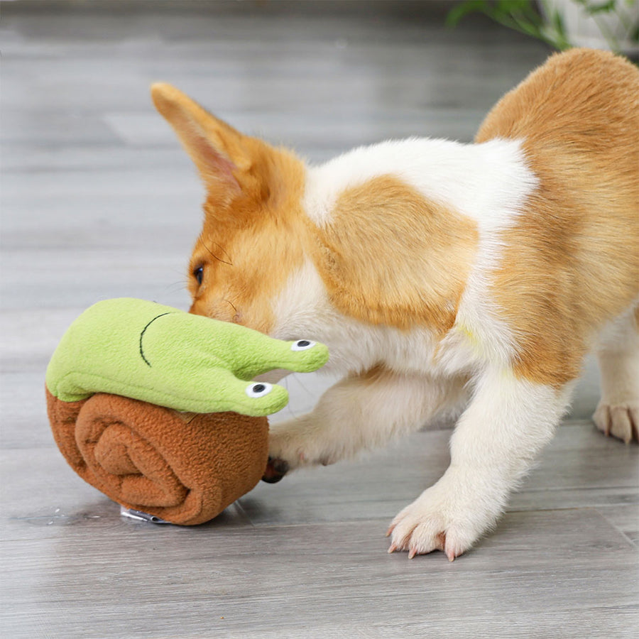 Snuffle Play Snail - Dog plays with Candies and Cookies - Dog Corner