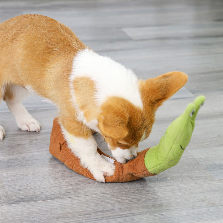 Snuffle Play Snail - Dog plays with Candies and Cookies - Dog Corner