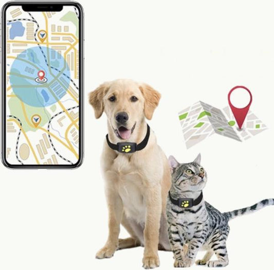 PETZZ Premium Pet Tracker - Accessoires voor uw hond - Hondenhoek