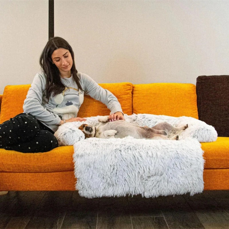 PETZZ Bed for Dogs Deluxe - Blottissez-vous sur le canapé - Dogshoek.com