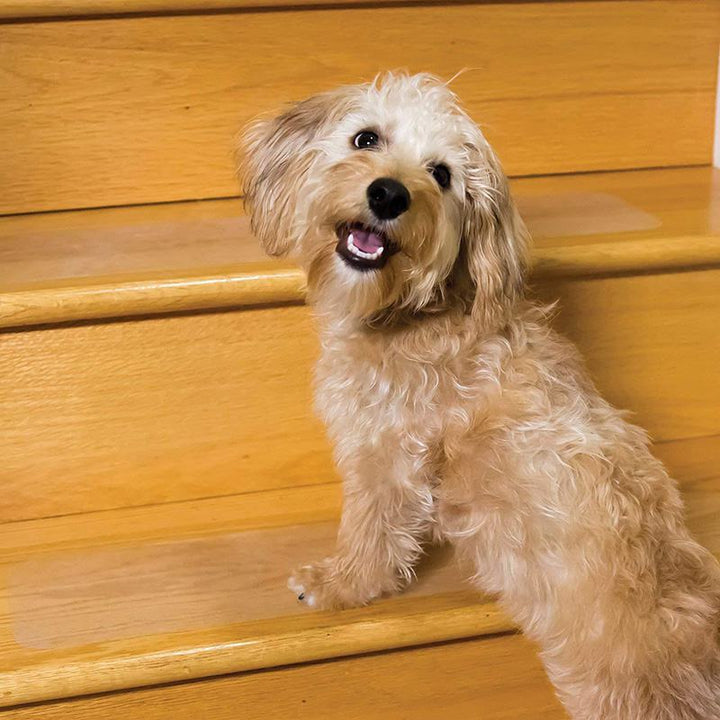 Autocollants d'escalier antidérapants - Escaliers sûrs pour vos amis et chiens à quatre pattes