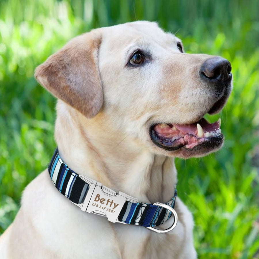 PERSONALIZED Collar - Including name for dogs - WOEF Boutique