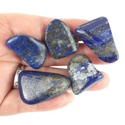 Lapis Lazuli Crystal Tumblestones from Afghanistan - Choice of Sizes - TK Emporium