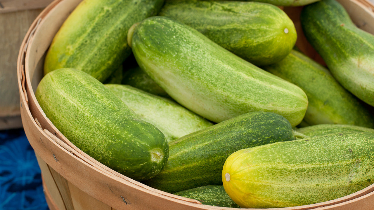 What To Do About Bitter Cucumbers Organic Gardening Blog Grow Organic