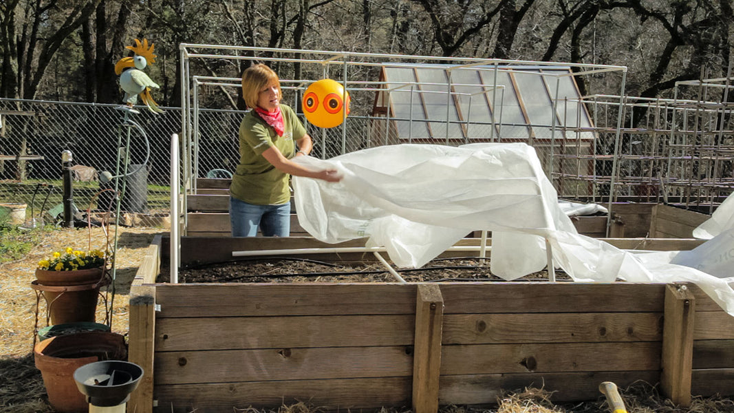 How To Build A Low Tunnel To Protect Plants From Frost Organic