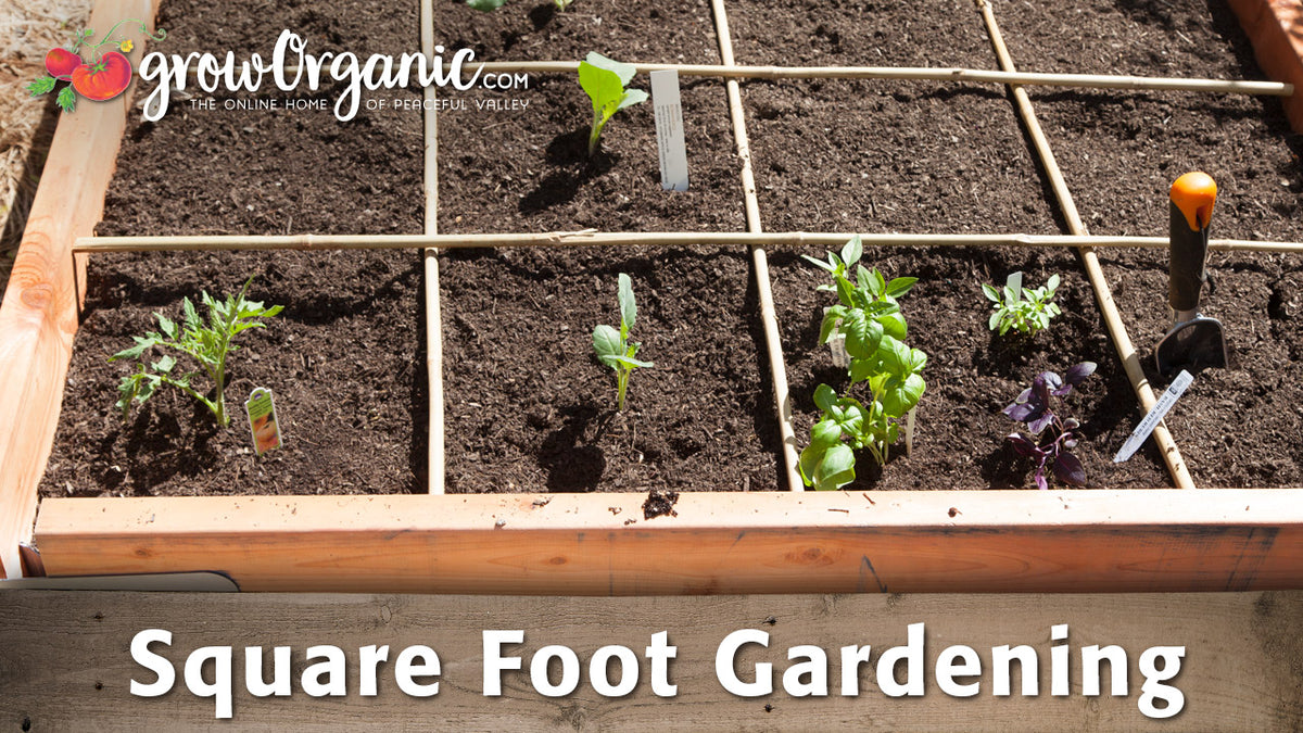 Square Foot Gardening| Organic Gardening Videos – Grow Organic