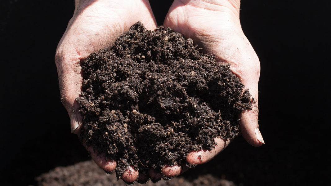 Protecting Your Topsoil from Erosion | Organic Gardening Blog – Grow ...