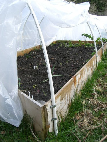How To Make A Hoophouse On A Raised Bed Organic Gardening Blog