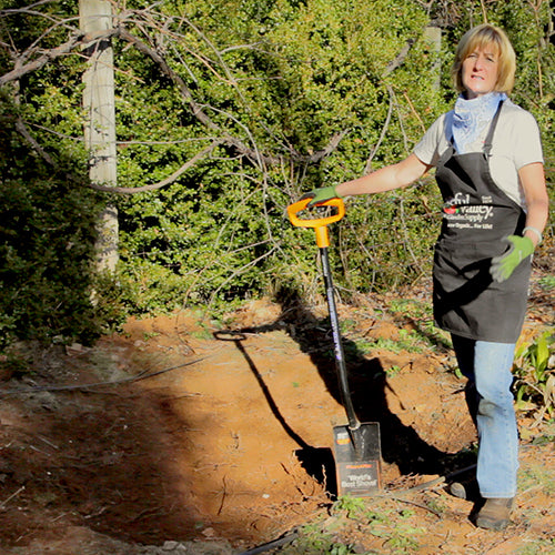 Planting a potted tree.