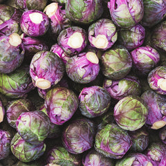 Red Brussels Sprouts Harvested