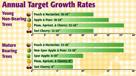 Annual Growth Rates