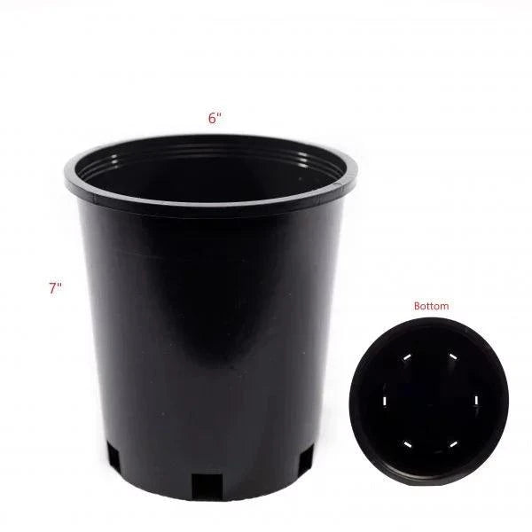 6 X 7" Anderson Polycan (200/ case)