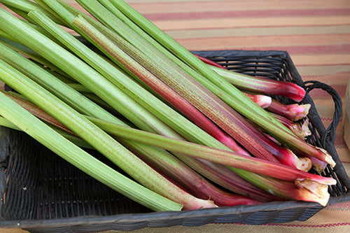 Harvested rhubarb stems.