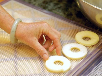 Placing apple slices in the dehydrator