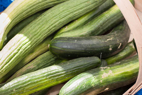 armenian cucumbers