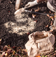 Adding fertilizer to the soil