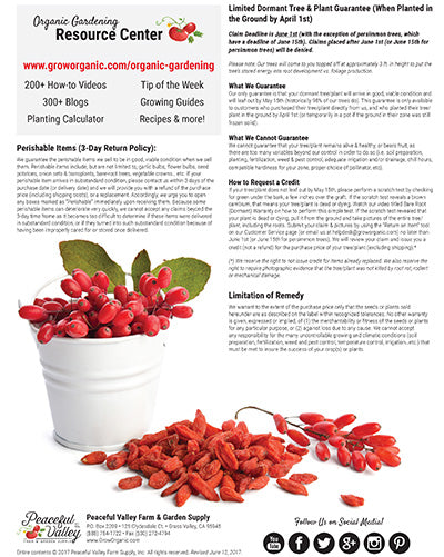 How to Grow Goji Berries (aka wolfberries)