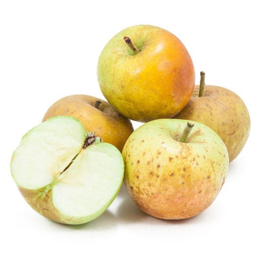 https://cdn.shopify.com/s/files/1/0061/1391/9089/files/golden-russet-apple-tree-semi-dwarf.jpg?v=1696386073&width=533