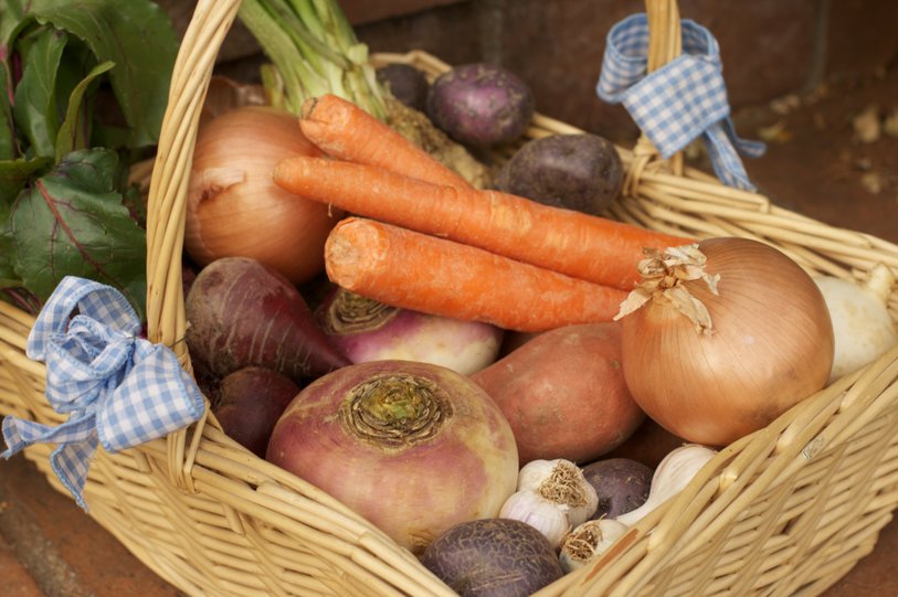 harvesting for storage