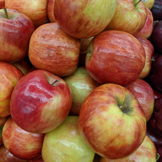 https://cdn.shopify.com/s/files/1/0061/1391/9089/files/honeycrisp-apple-B2.jpg?v=1693503716&width=533