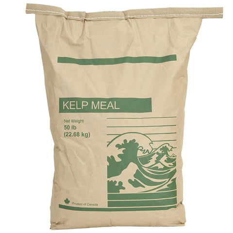 large bag organic kelp meal