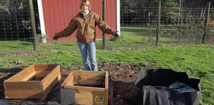 samples of raised beds