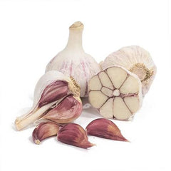 Rocambole Garlic 