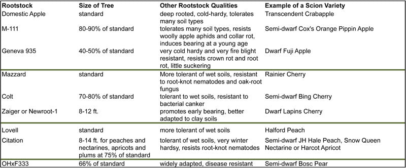 chart of rootstock qualities